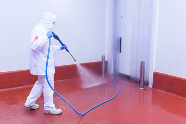 Animal Enclosure Cleaning in Frontenac, MO